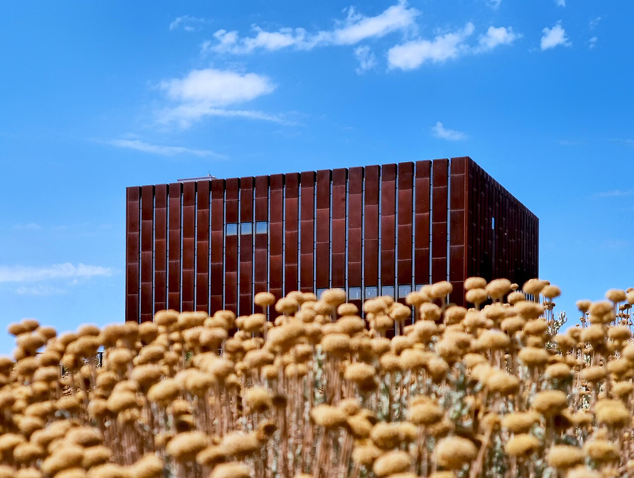 Troya Müzesi Çanakkale